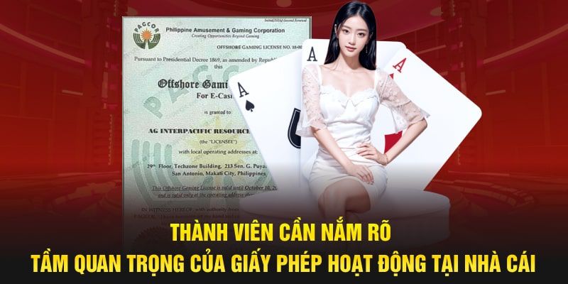 Lợi ích của giấy phép hoạt động Leo88 đối với người chơi