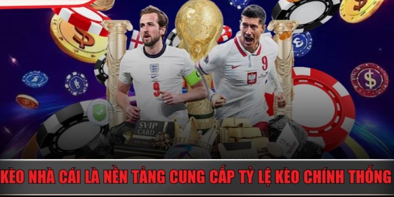 Vai trò của Tỷ lệ kèo nhà cái Leo88 trong cá cược
